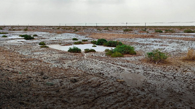 Controle do Deserto de Sal