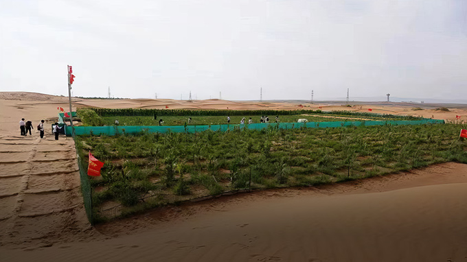 Soluções de controle de desertificação