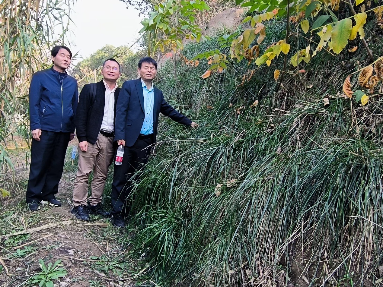 A tecnologia de taludes ecológicos da Zhengsai foi reconhecida